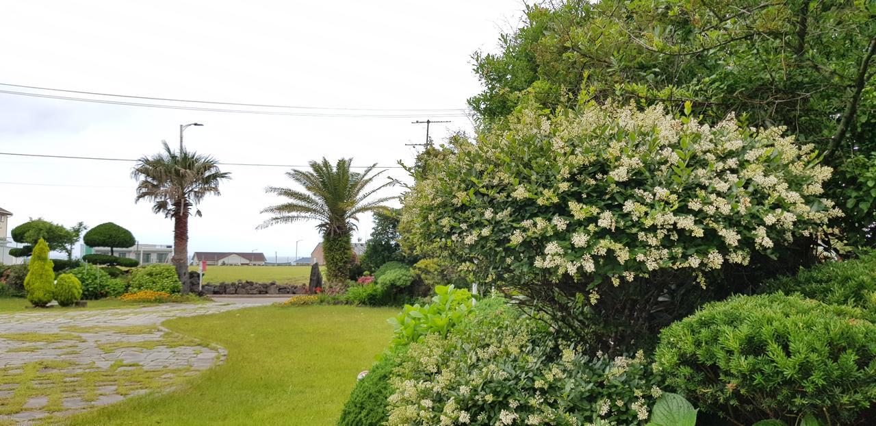 Jeju Again Olle Pension Екстер'єр фото
